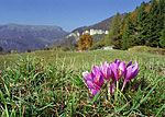 Kalend 2002