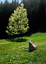 Kalend 2003