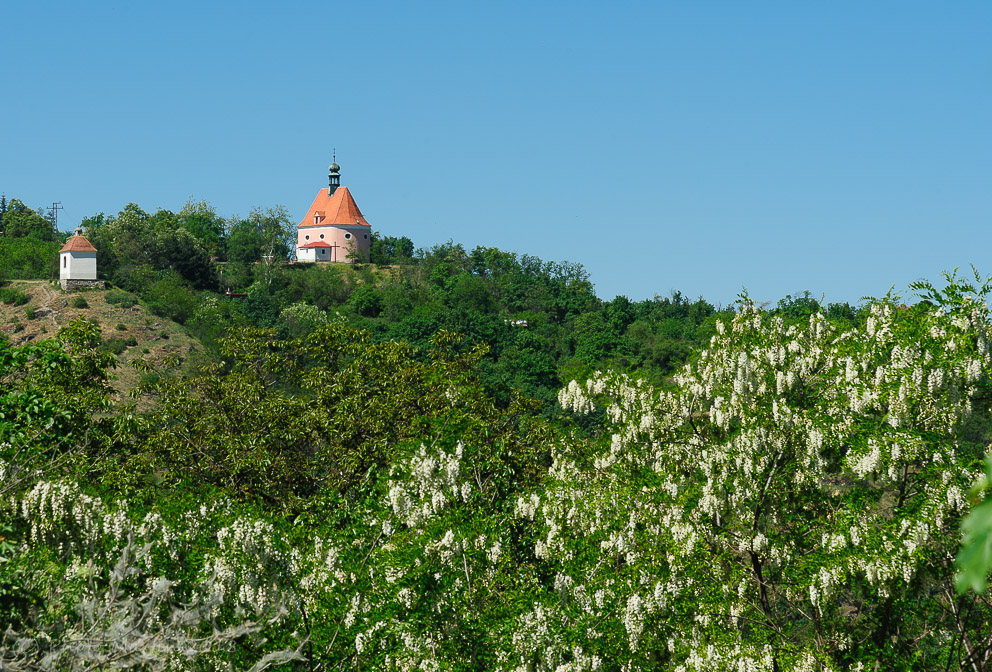 Znojmo, Hradisko