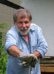 vt obrzek