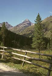 Gldis Spitze